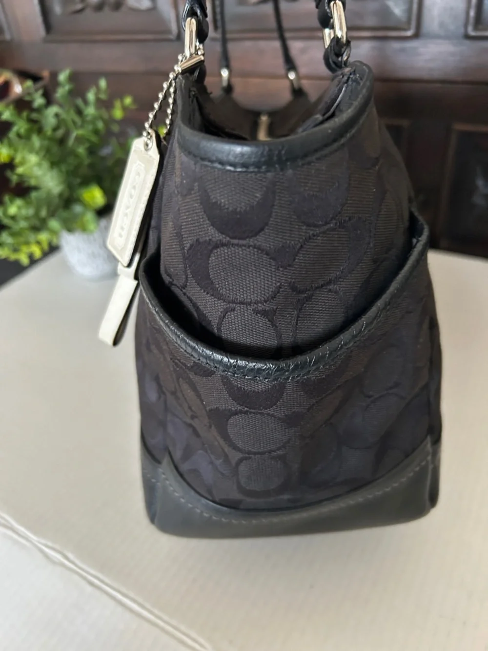 COACH Park Signature Carrie Tote Handbag.